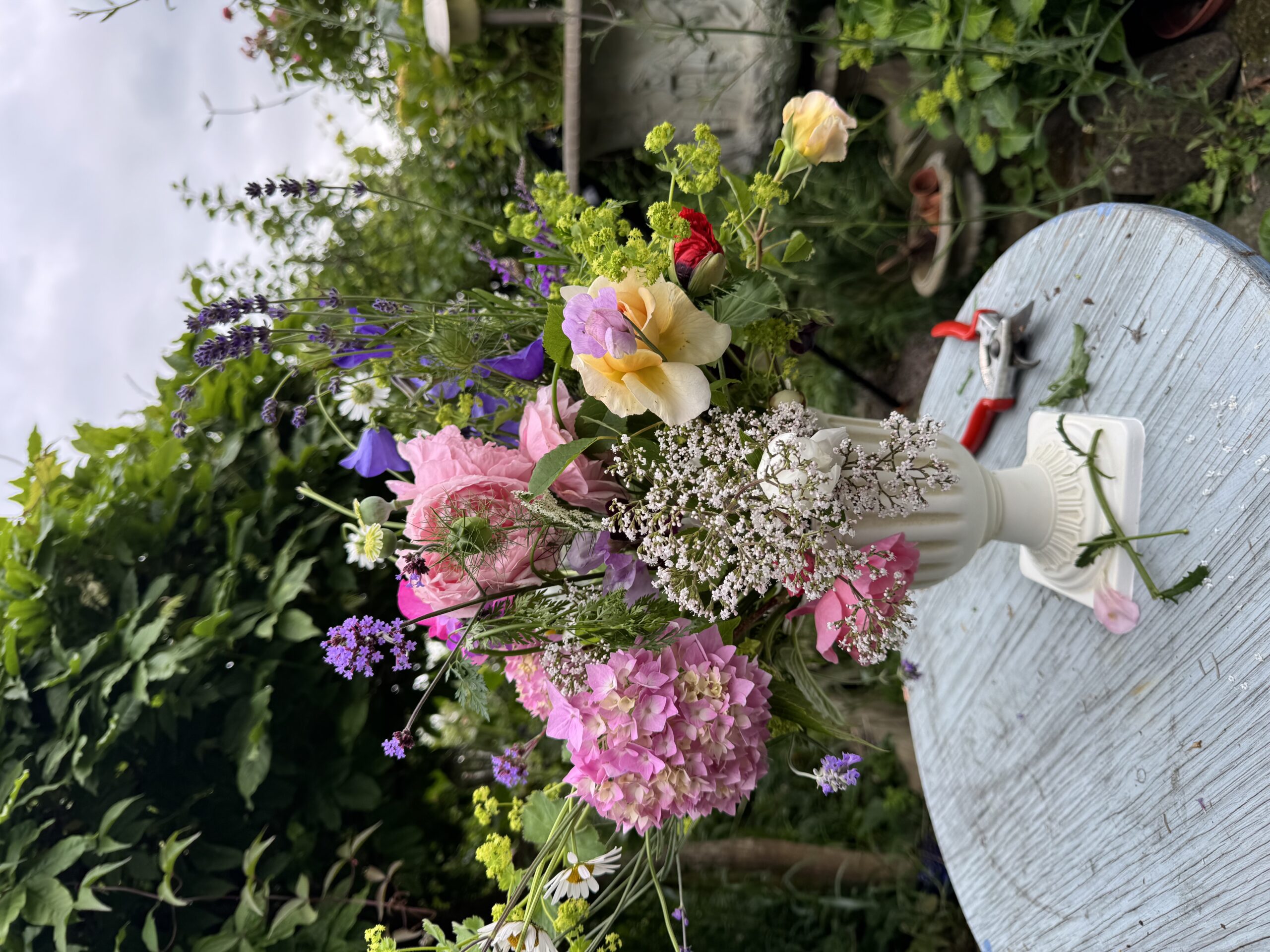 Pick Your Own Garden